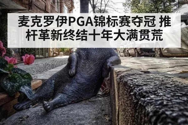 麦克罗伊PGA锦标赛夺冠 推杆革新终结十年大满贯荒