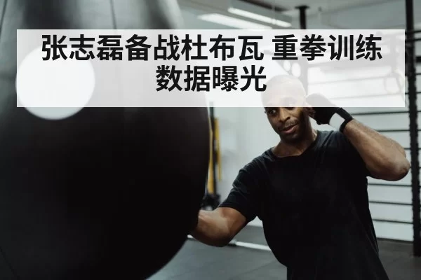 boxer punching heavy bag